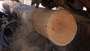 Hölinger Holzfußboden - unser Betrieb in Bildern